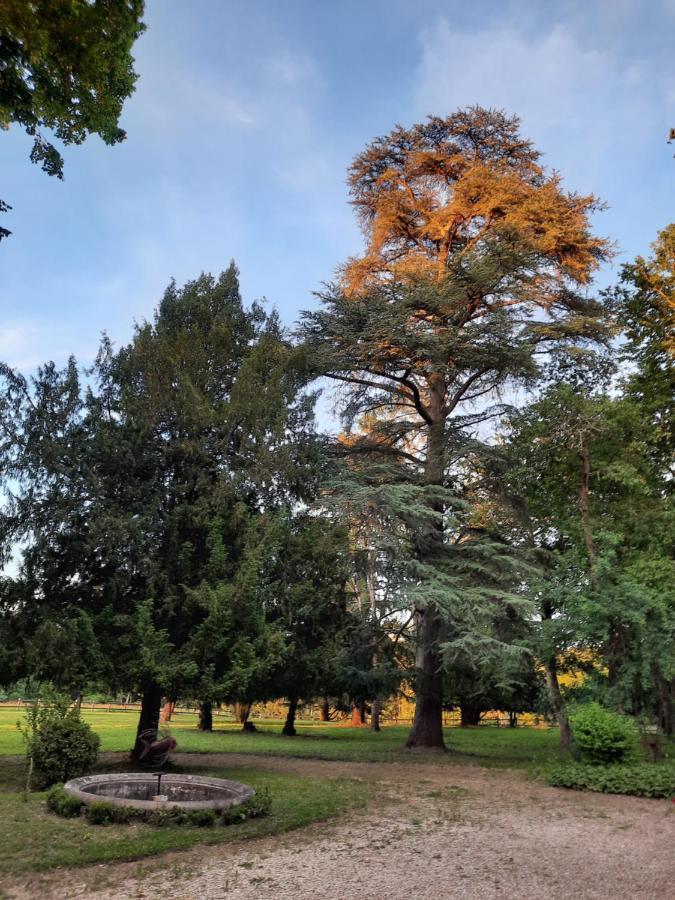 Gite De Charme A 15Mn De Bordeaux Autonomie 100% Camblanes-et-Meynac Bagian luar foto
